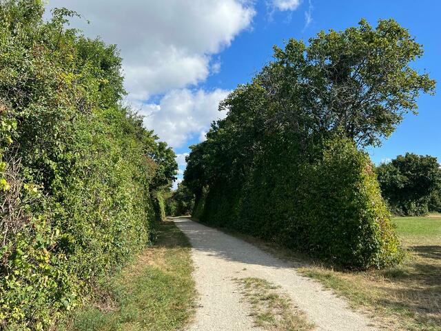 Die Wiener Stadtteilplanung und Flächenwidmung betont die Bürger und Bürgerinnenbeteiligung an dem Projekt. | Foto: Petra Sturma