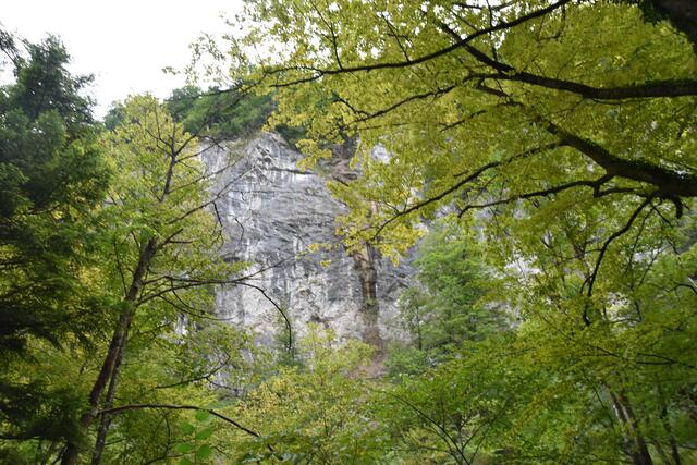 Unterwegs zum Trefflingfall im Naturpark Ötscher-Tormäuer | Foto: Roland Mayr