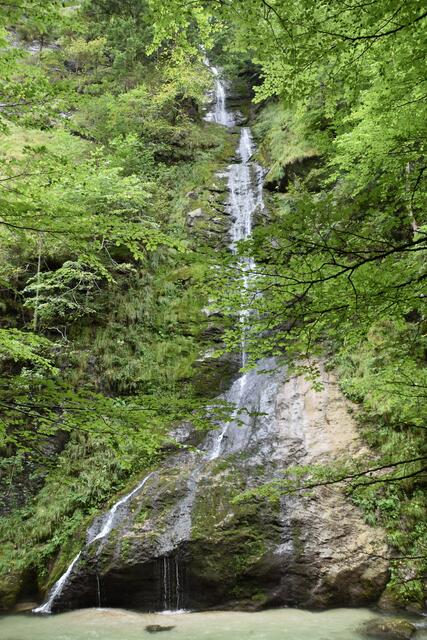 Unterwegs zum Trefflingfall im Naturpark Ötscher-Tormäuer: der imposante Hundsbachfall | Foto: Roland Mayr