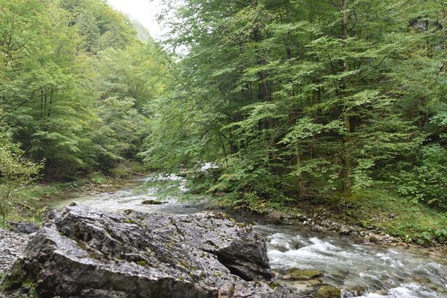 Unterwegs zum Trefflingfall im Naturpark Ötscher-Tormäuer | Foto: Roland Mayr