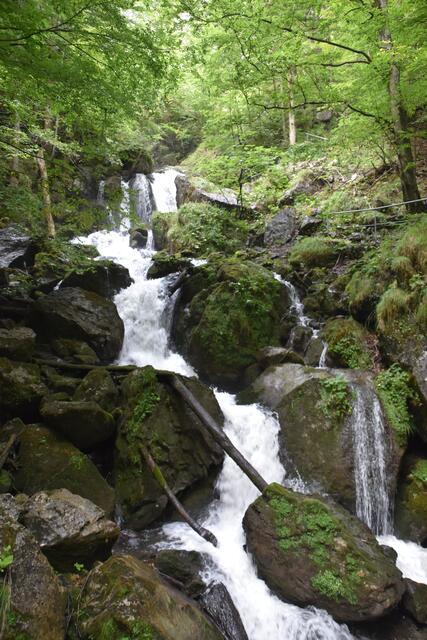 Unterwegs im Naturpark Ötscher-Tormäuer: Der Trefflingfall ist der höchste Wasserfall im Land Niederösterreich. | Foto: Roland Mayr