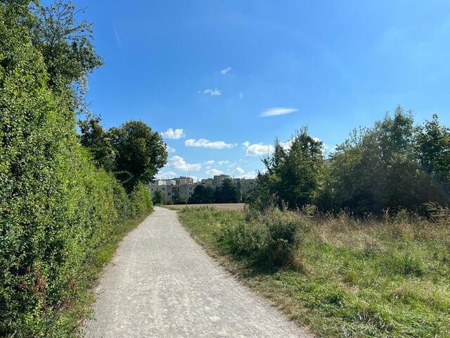 Rund ein Viertel der Fläche des Bezirkes soll Teil des neuen Konzepts werden; auch im Bereich des Zehngrafenwegs.  | Foto: Petra Sturma
