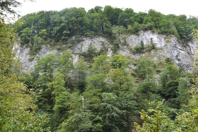 Unterwegs zum Trefflingfall im Naturpark Ötscher-Tormäuer | Foto: Roland Mayr