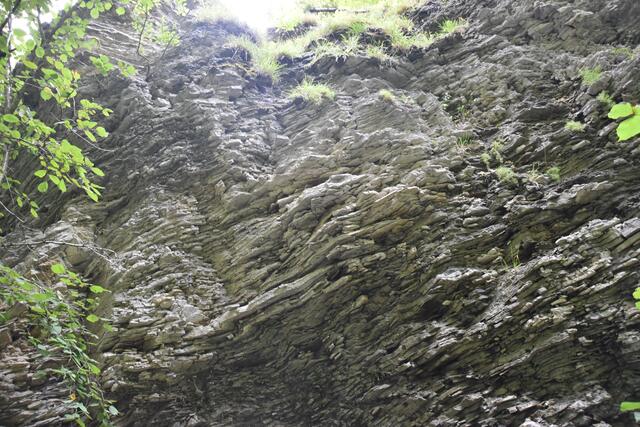 Unterwegs zum Trefflingfall im Naturpark Ötscher-Tormäuer | Foto: Roland Mayr