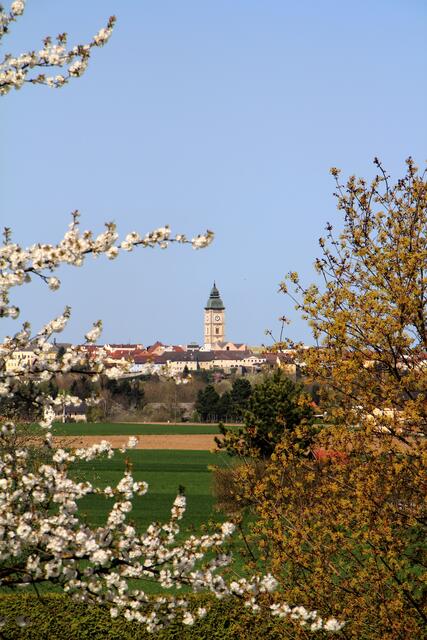 Viele historisch bedeutende Plätze können bei der Familienwanderung durch Enns bestaunt werden.  | Foto: BRS