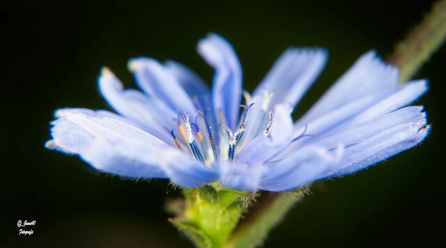 .....seitlich reingeschaut .....