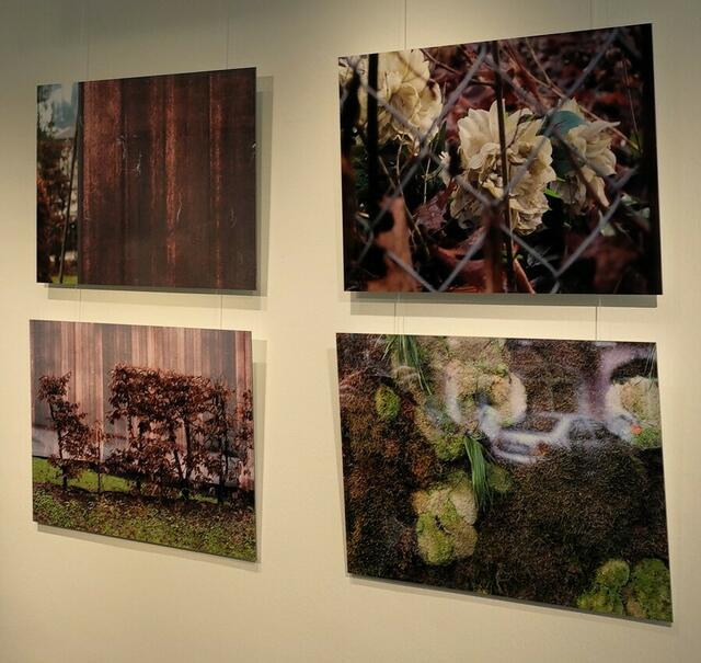 Die Kitzbüheler Künstlerin Flora Zimmeter begeistert derzeit bis Ende September in der Bad Sodener Stadtgalerie "Badehaus" mit ihren Fotografien. | Foto: Flora Z.