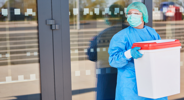 Nieren-Transplantationen wurden im Jahr 2022 am häufigsten durchgeführt. | Foto: adobe.stock/Robert Kneschke