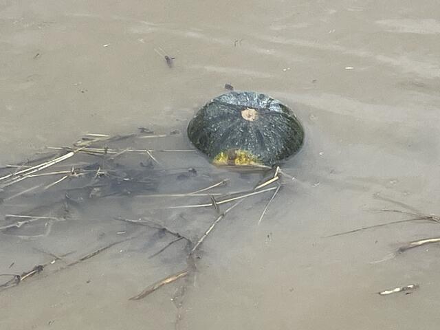 Nach dem Hochwasser bittet der Wasserverband Leibnitzerfeld-Süd, dass das Trinkwasser aus dem Wasserhahn abgekocht werden muss.