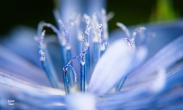 ......die kleinen Stempel drinnen .....