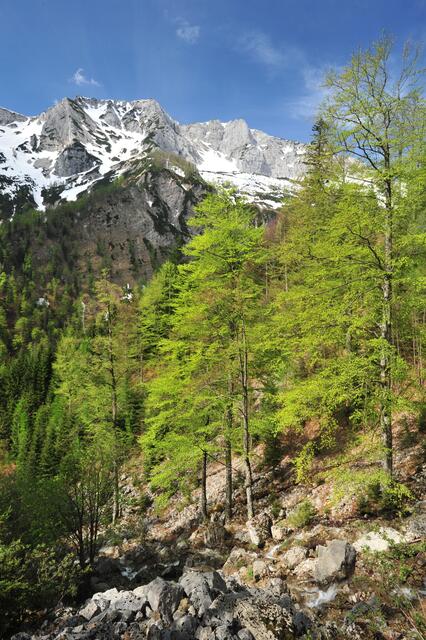 Frühling im Sengsengebirge | Foto: Sieghartsleitner