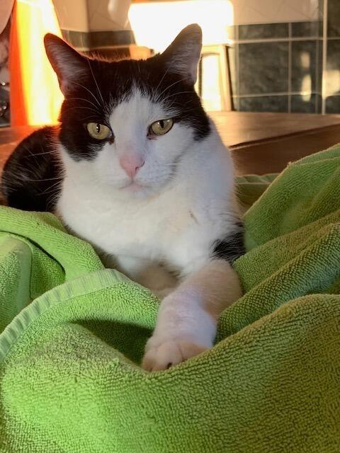 Foto: Friedrich Doppelmair