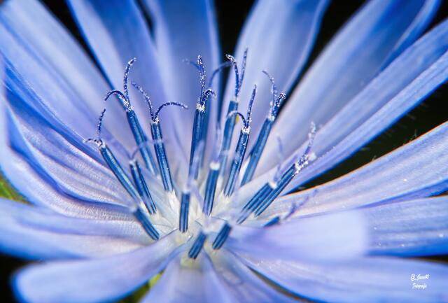 ......ein kleines Krönchen .......