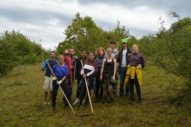 Die Jugend im Einsatz für die Weinviertler Natur. | Foto: Margit Gross