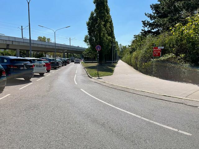 Auf dem linken Fahrstreifen, der Wohnparkstraße, ist der aktuelle Radweg stadtauswärts zu sehen. Im November beginnen hier die Arbeiten am Zwei-Richtungsradweg. | Foto: Lisa Kammann
