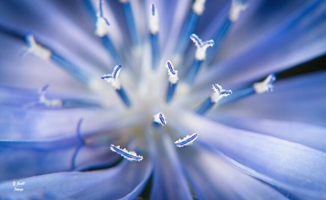 ....von Oben obi gschaut .....