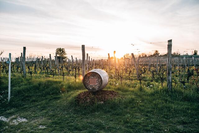Weinweg Langenlois, Skulptur "ohne Titel 2005" von Heimo Zobernig | Foto: Waldviertel Tourismus, sommertage.com