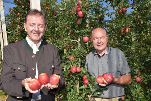 LK-Präsident Nikolaus Berlakovich gemeinsam mit dem Präsidenten des Bgld. Obstbauverbandes Johann Plemenschits beim Pressegespräch zum Beginn der Apfelernte. | Foto: LK Burgenland/Tesch-Wessely