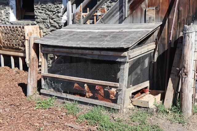 Foto: Celina Leitner