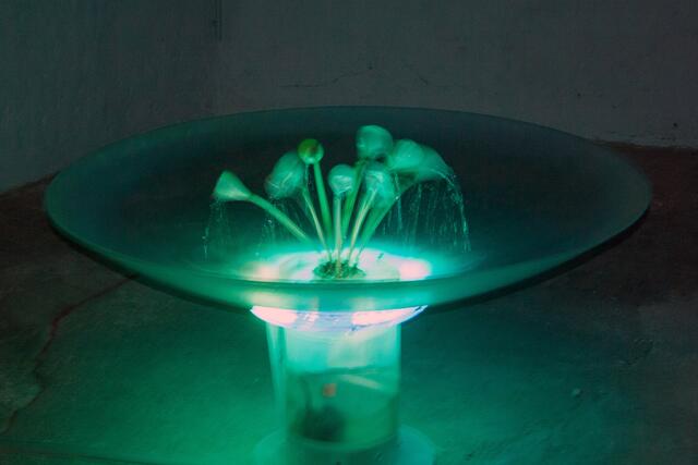 Bild # 8374: Was genau es mit dieser Wasserschale auf sich hat kann ich leider nicht mehr sagen. Während der Erklärung musste ich den Akku der Kamera im finsteren Raum wechseln. Wer kann mir sagen worum es hier geht? | Foto: © by Ing. Günter Kramarcsik