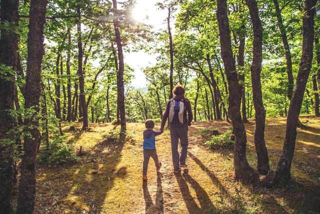 Auch in der Ennser Natur gibt es einige schöne Wander- und Spazierwege. | Foto: PantherMedia/GolubtsovaAlex