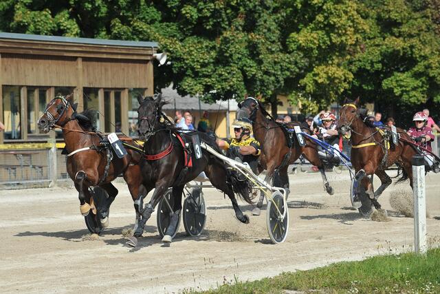 Die Herbstsaison auf der Trabrennbahn in Wels startet am 17. September. | Foto: Trabrennverein