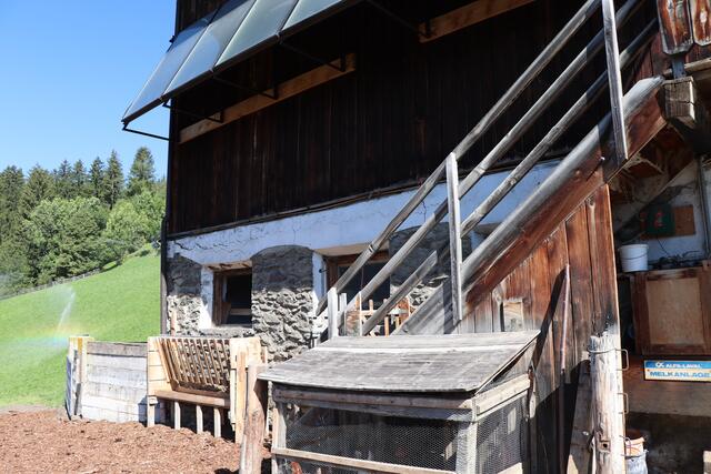 Foto: Celina Leitner