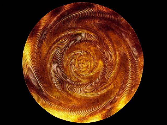 Bild # 8378: Mit diese Nahaufnahme verabschiede ich mich und bedanke mich für eure Aufmerksamkeit. | Foto: © by Ing. Günter Kramarcsik