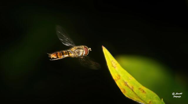 ......moahhhhh,was kommt mir da entgegen .....