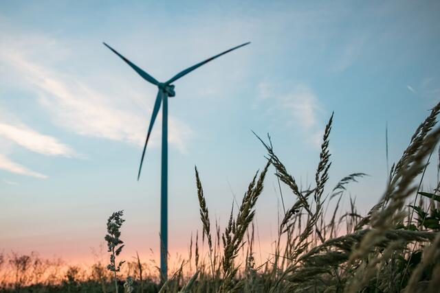 Symbolfoto. Anbei sind Bilder von Anlagen, die von den Proportionen ähnlich den geplanten Vestas-Modellen im Windpark Königswiesen St. Georgen am Walde ist. Es werden im Mühlviertel aber größere Windräder kommen. | Foto: PROFES