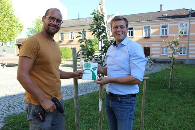 Foto: Staudinger