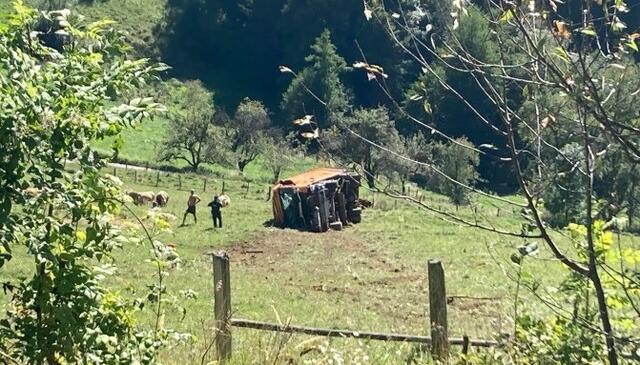Der 40-Jährige konnte noch aus dem Fahrzeug springen, bevor dieses einen Holzzaun durchbrach, umkippte und rund 95 Meter über einen Abhang schlitterte. | Foto: LPD Kärnten