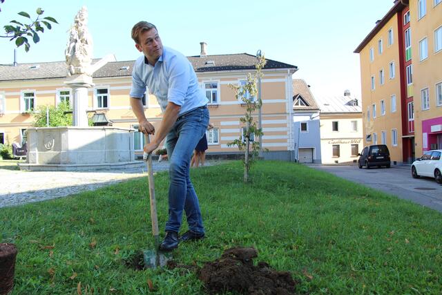 Foto: Staudinger