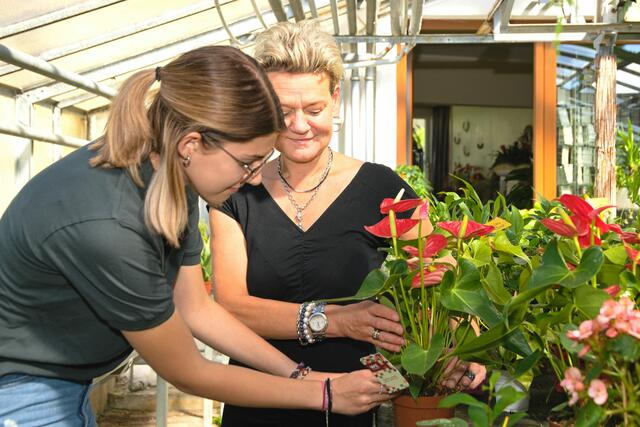 Firmenleiterin und Lehrlingsausbildnerin Andrea Höglinger (re) zeigt Josefina Karl wichtige Dinge im Beruf Gärtner-Floristin.  | Foto: Alfred Hofer