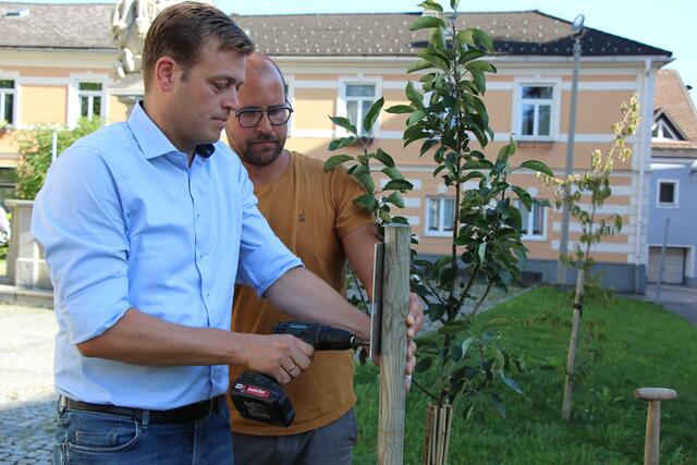 Foto: Staudinger