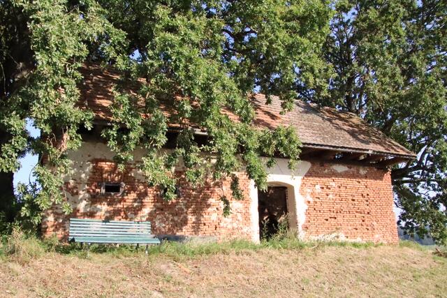 Foto: Martin Wurglits