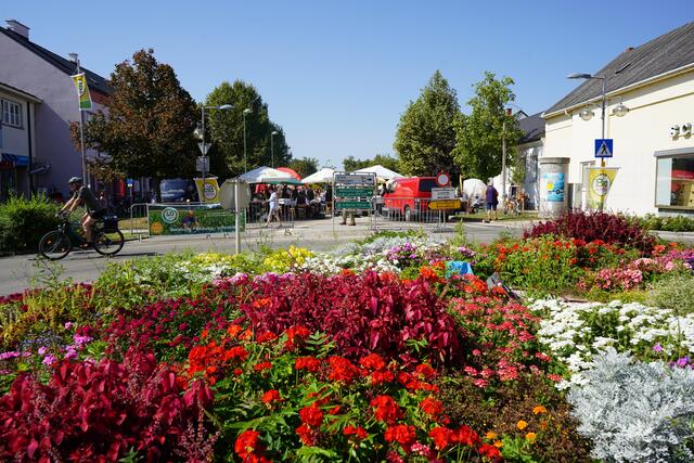 Foto: Andrea Glatzer