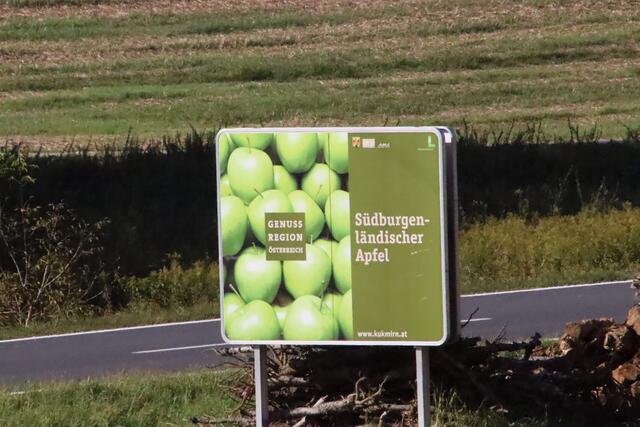 Foto: Martin Wurglits