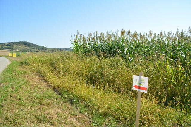 Foto: Jennifer Flechl