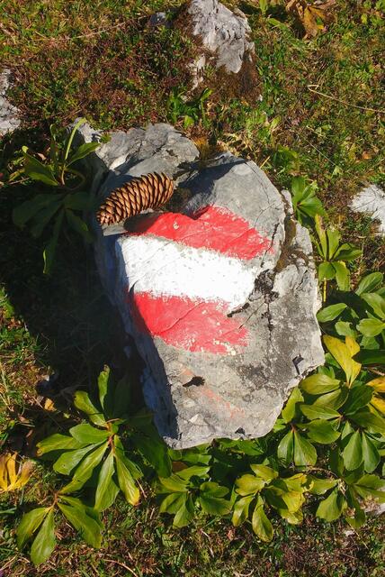 Foto: Elisabeth Schnitzhofer