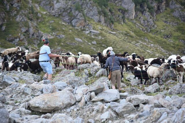 Dieses Bild und viele weitere Fotos in der Galerie zeigen deutlich die harte Arbeit. | Foto: Bezirksblätter