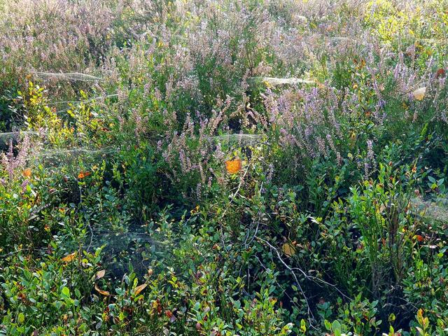 Foto: Fotorechte: Dominik Reccius