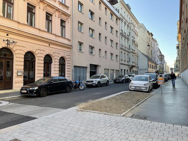 Im Bereich dieser Baumscheibe waren früher Radbügel. Diese sollen wenige Schritte weiter wieder angebracht werden.  | Foto: Miriam Al Kafur