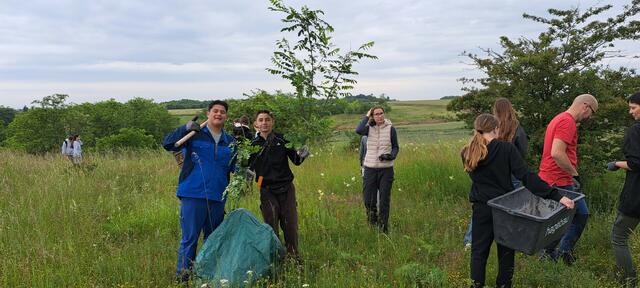 Foto: Martin Schreiner, Marcia Stahrmueller