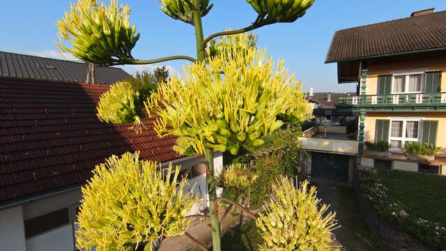 Ein Bild des alles "überragenden" Naturwunders | Foto: Martina Fastl 