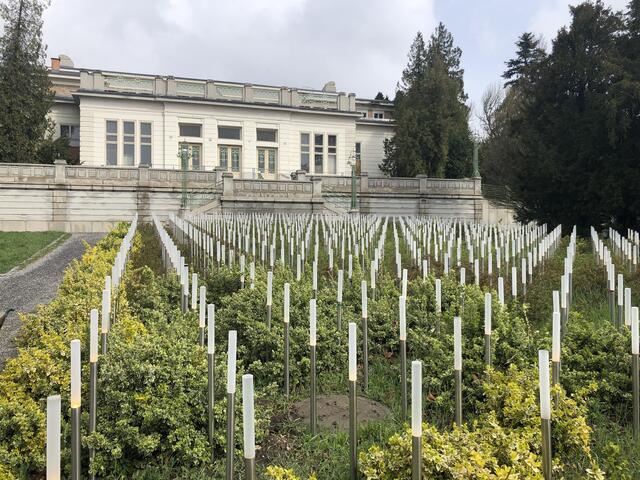 Es grünt so grün im Jugendstiltheater am Steinhof – denn am 21. September feiert das Theaterstück "Miameide - Die stillen Schwestern" seine Premiere. In diesem dreht sich alles um Pflanzen. | Foto: Michael J. Payer