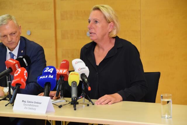 Foto: Philip Steiner