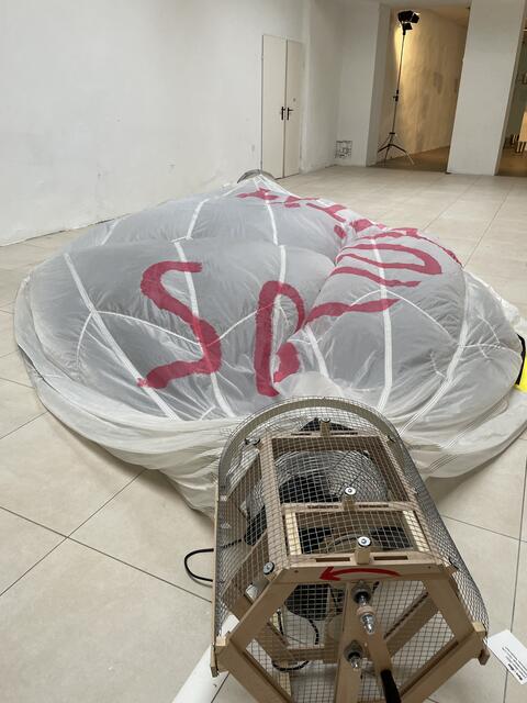 Foto: Franziska Stritzl