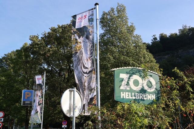 Schock und Trauer sitzen nach wie vor tief in der Zoo Salzburg Familie nach dem tödlichen Unfall am gestrigen Dienstagmorgen im Nashorngehege. | Foto: Franz Neumayr