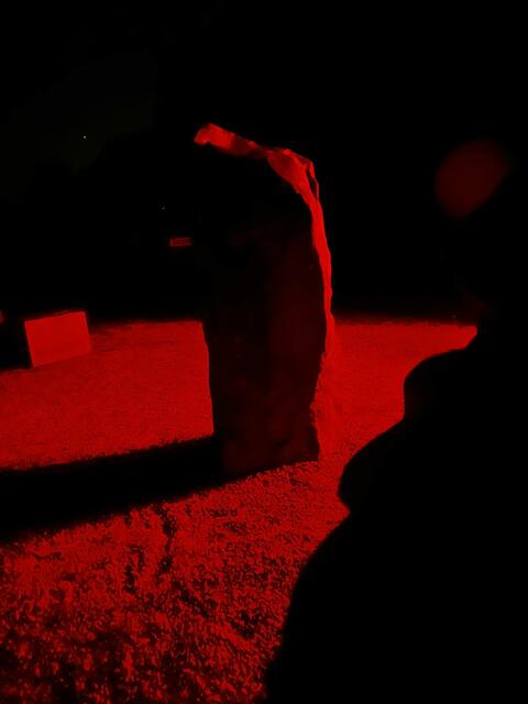 Der Steinkreis um die Sternwarte | Foto: Günter Kleinschuster